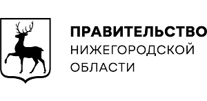 Правительство Нижегородской области (Россия)