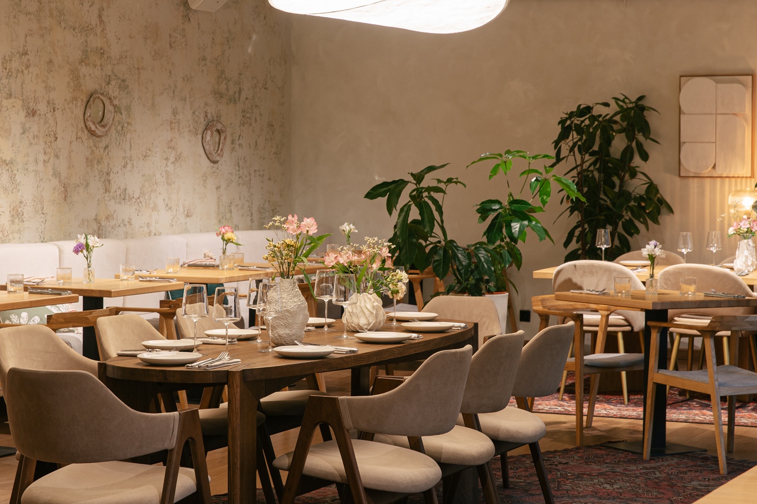 Дикий сом и утиные сердца Дикий сом и утиные сердца